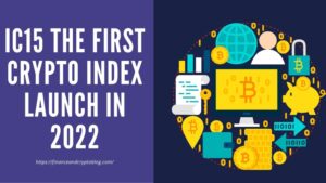 IC15 the first crypto index launch in 2022